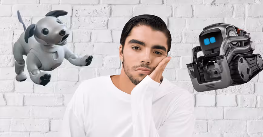 Personal robots won’t catch on until they become more than a novelty