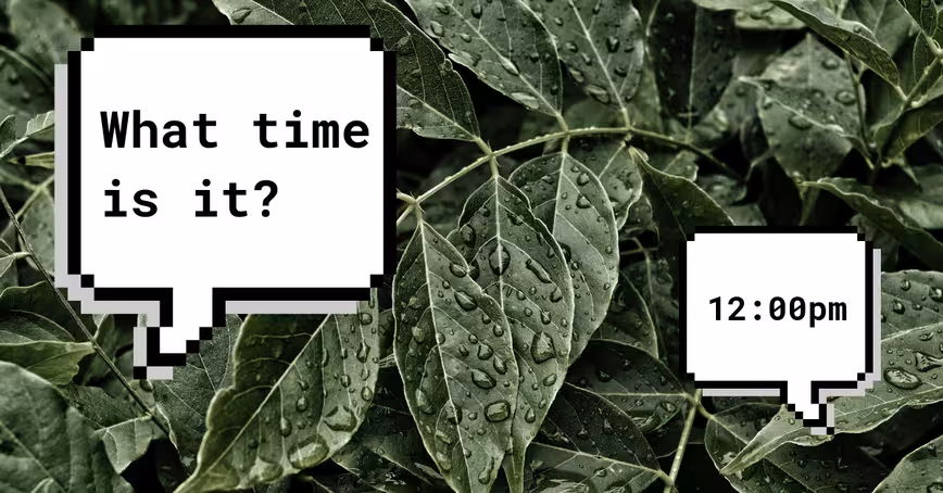 Plant cells signal between each other to agree on what time it is