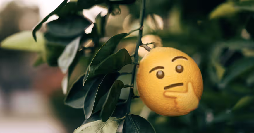 How plants’ ability to ‘think’ might force us to redefine intelligence