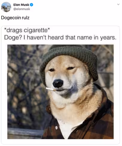 Dogecoin, elon, musk, tesla, ceo
