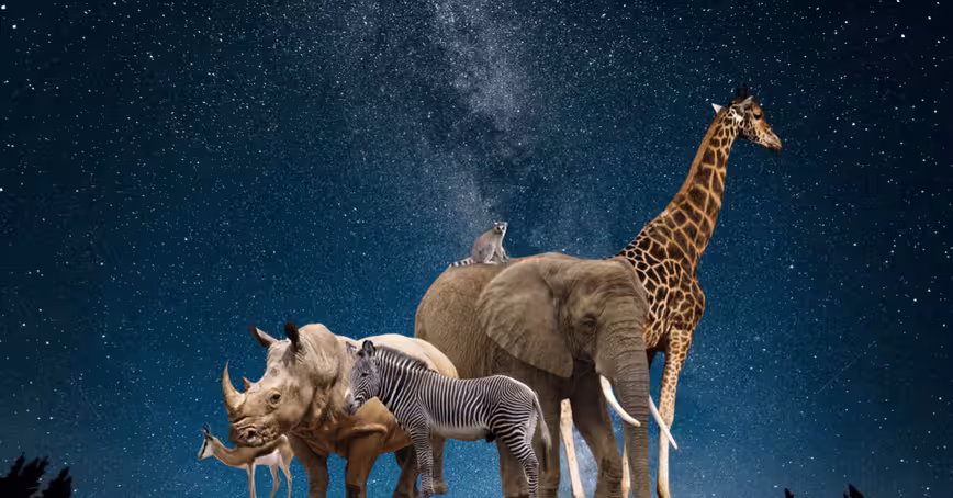 How life on Earth was boosted by an asteroid collision 446m years ago