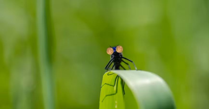 Kraken bug apparently let users buy Bitcoin for $8,000 and instantly sell it for $12,000