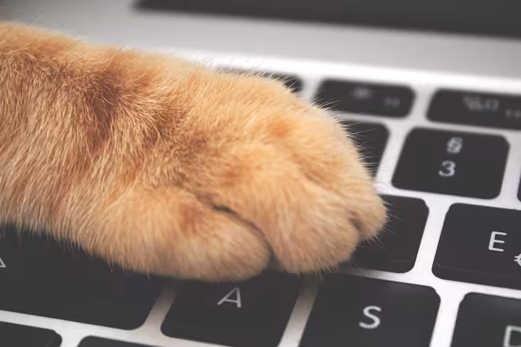 The rise of Pet Tech Featured Image