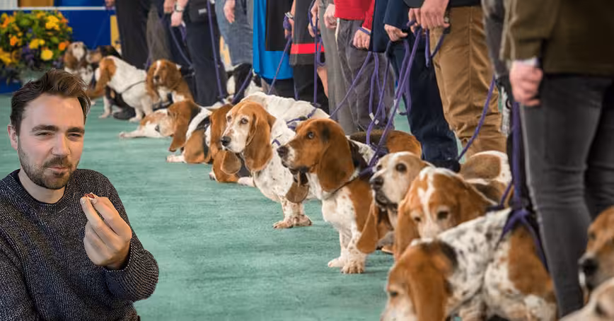 We tested CBD dog treats so your hound didn’t have to