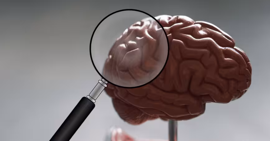 Studying brains can explain why tech affects men and women differently