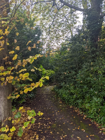 Google Pixel 4 photo example
