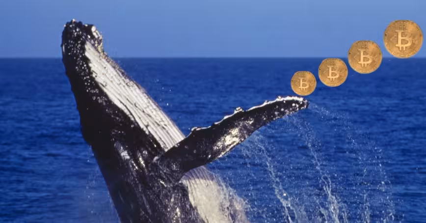 Cryptocurrency Whales