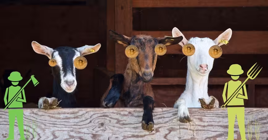 Here’s why farmers and blockchain are actually a great fit