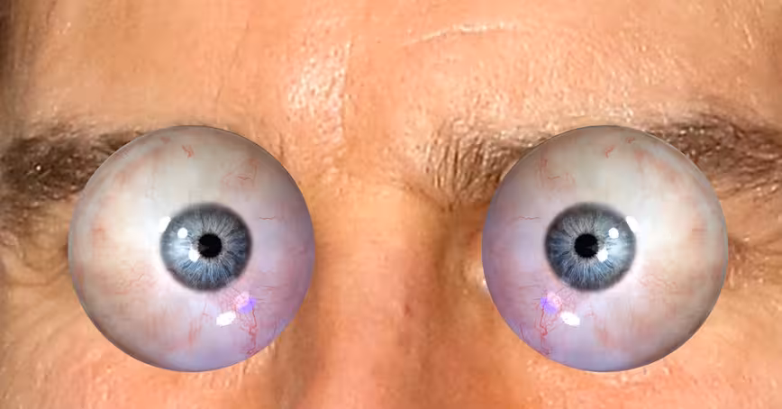 Violent stalker finds Japanese artist’s home by zooming in on her eye