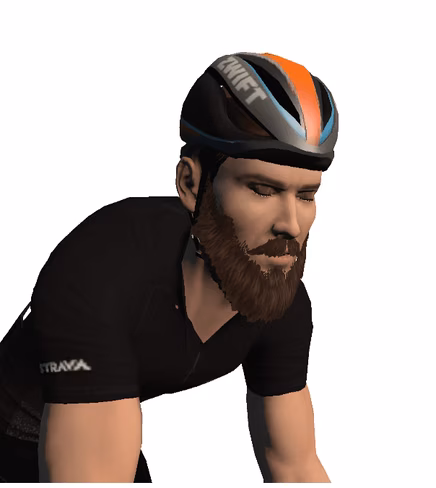 Zwift, avatar