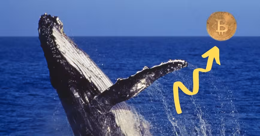 A single cryptocurrency whale caused Bitcoin’s 2017 bull run, research claims