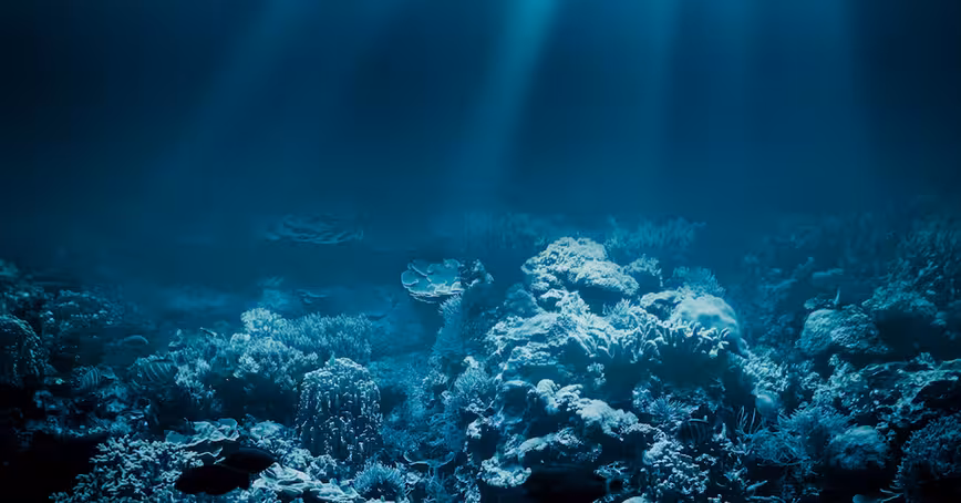 New evidence shows the first cells could have formed at the bottom of the ocean