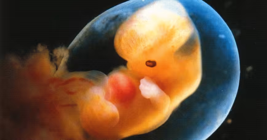 China’s failed ‘baby gene’ experiment proves we’re not ready to edit human embryos
