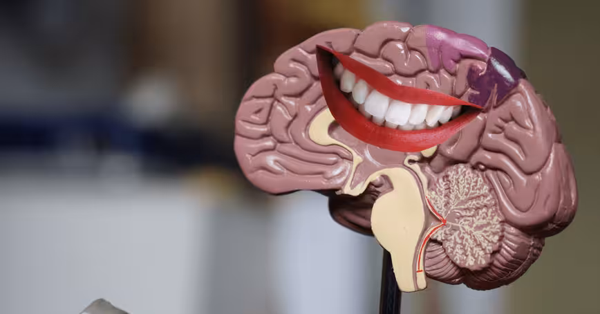 How to train your brain to release more happy chemicals