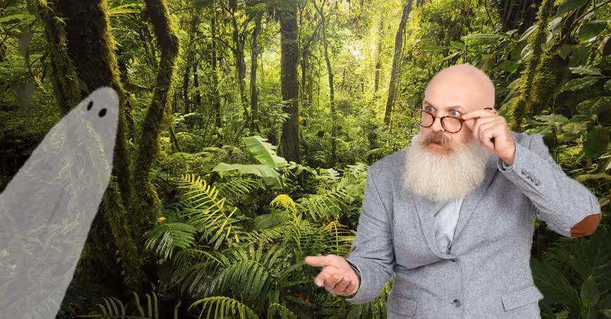 Scientists are underestimating the threat of invisible pollutants to wildlife