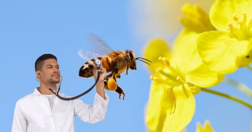 Australian scientists need your help keeping track of exotic bees (please)