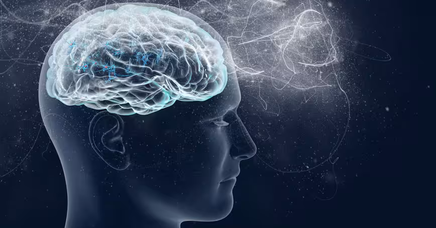 New discoveries in neuroscience show what’s right and wrong with AI