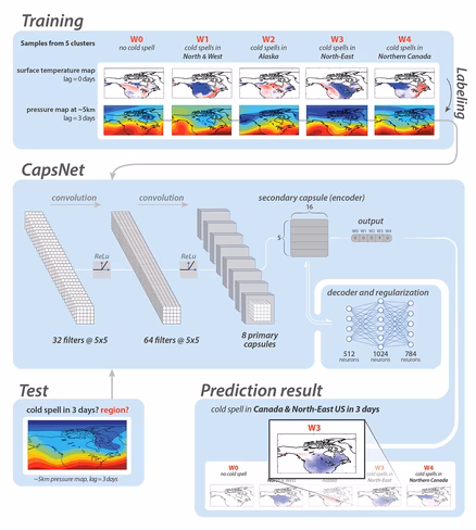 A self-learning capsule neural network made the forecasts