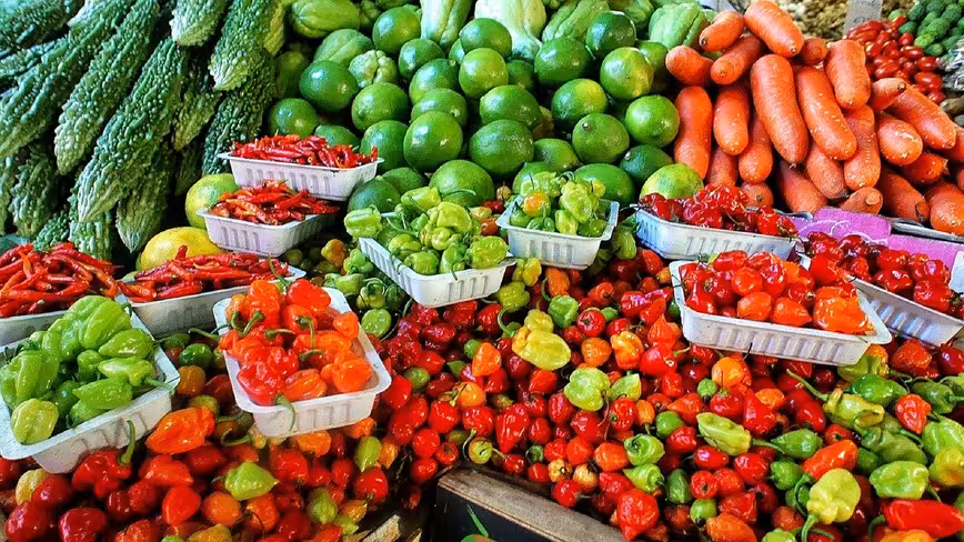 Chew on this: These 7 startups are changing the way we eat