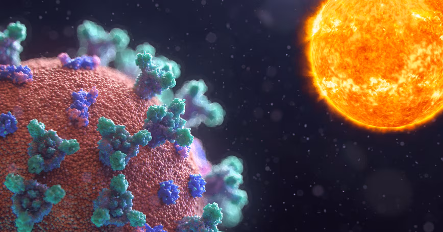 Virologists say warmer weather will unlikely be the end of COVID-19