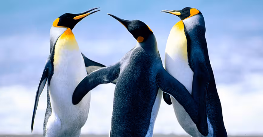 AI studies our photos to prove that nature makes us happy