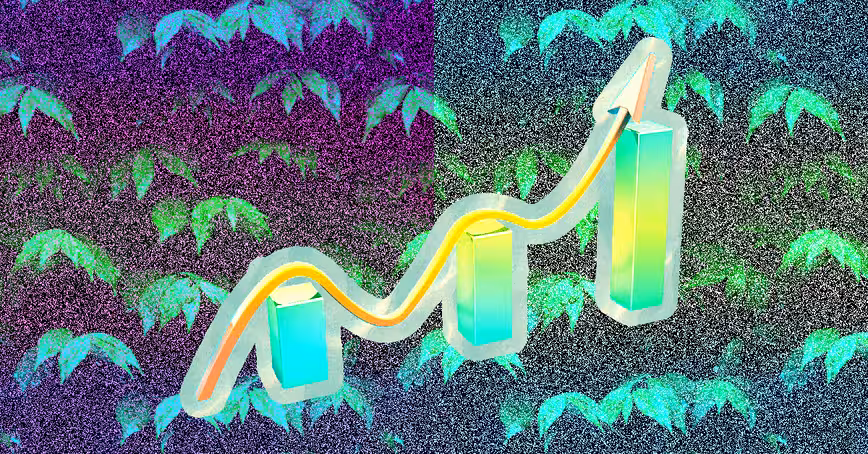 How I grew my third startup faster than ever before