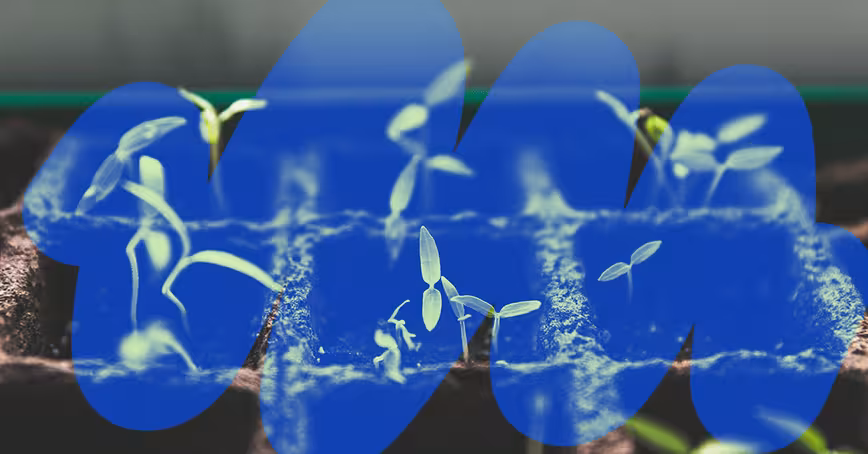 Growth hacking is BS — here are 3 tips for sustainable growth instead