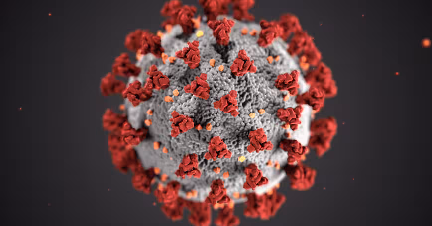 Coronavirus: Is this the moment of maximum risk?