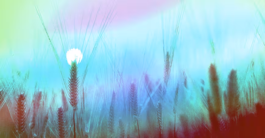 Responsible growth: Why tech companies must wake up