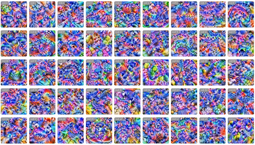 Check out these gorgeous visualizations of popular neural networks