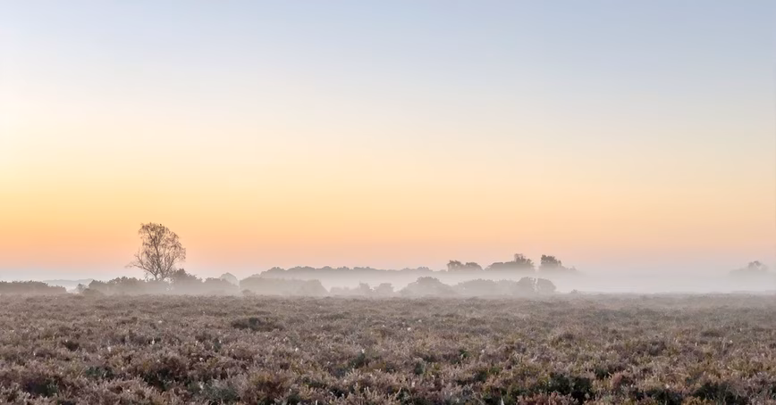 Prehistoric climate change damaged the ozone layer and led to a mass extinction, study finds