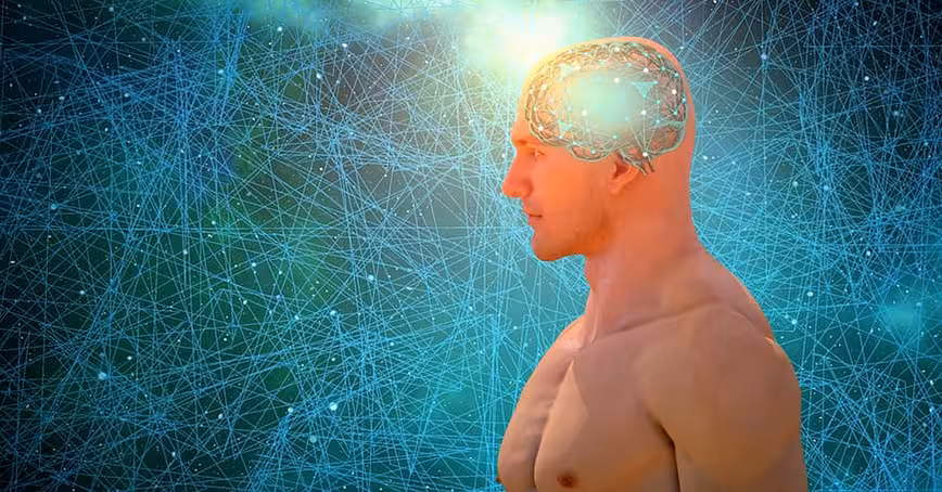 Research: Artificial neural networks are more similar to the brain than we thought