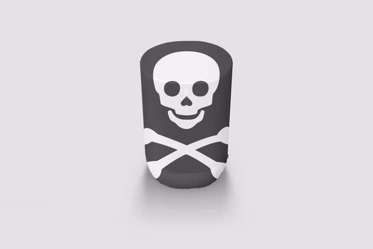 sonos move pirate flag