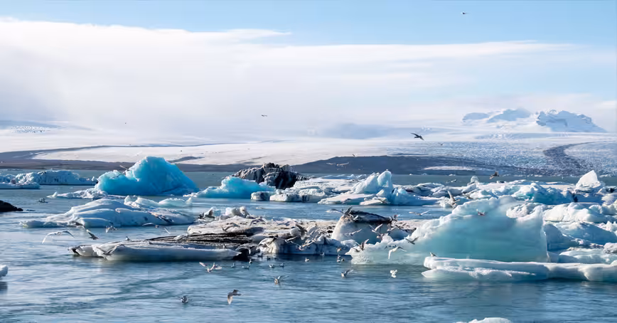 How studying our reaction to coronavirus can help us fight climate change