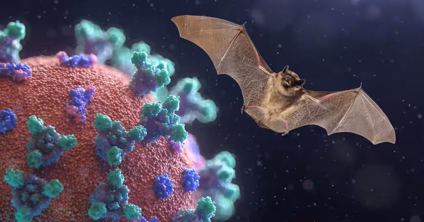 Scientists know coronavirus came from bats, not a lab — here’s how