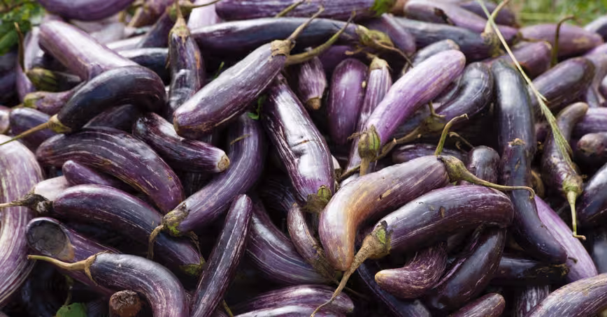 Dating app Badoo is now using AI to detect unsolicited dick pics