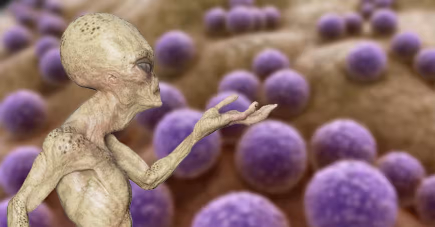 New study suggests we all might be children of alien organisms