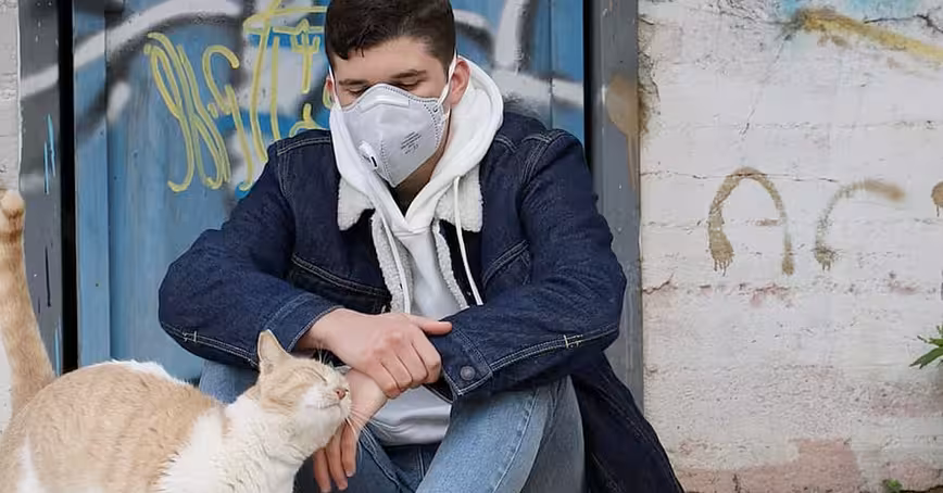 Here’s how researchers found coronavirus in a cat — but don’t panic