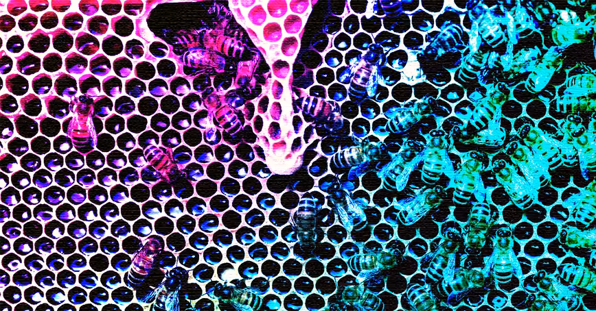 What beekeeping taught me about digital leadership