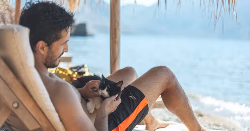 Scientists confirm holding a cat in your dating app profile won’t get you a date