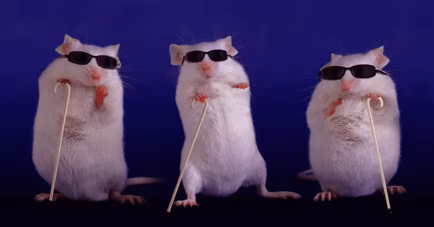 Harvard researchers developed an AI to determine how medical treatments affect life spans