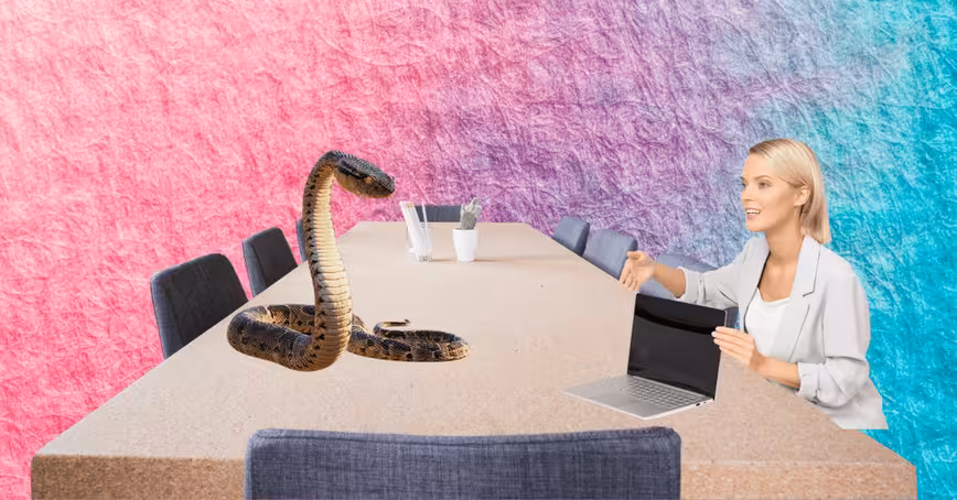 Why Python is not the programming language of the future