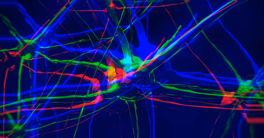 The case for neurodiversity: Why companies are hiring more autistic people