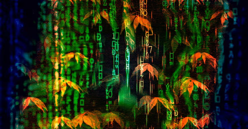 How to land your first job as a web developer