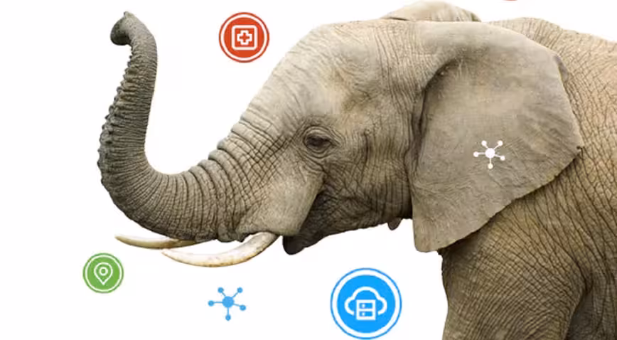 How AI can give endangered elephants a fighting chance