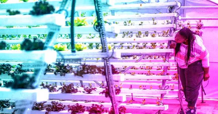 Cape Town hones ambitions to become an African tech hub