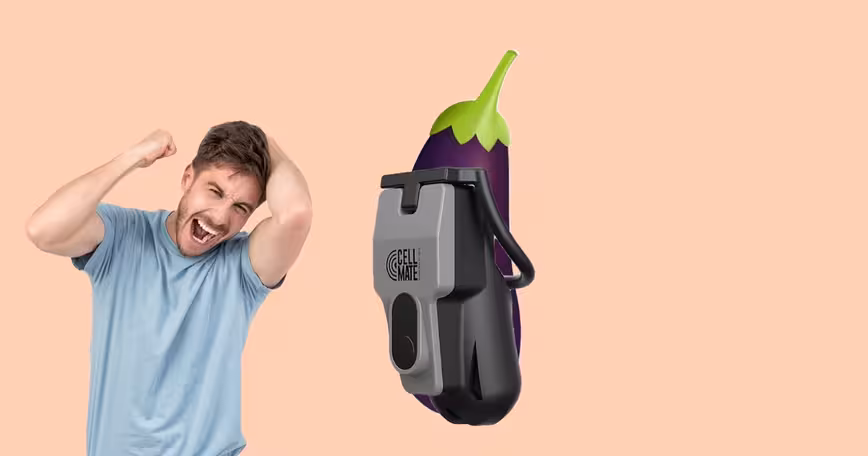 This sex toy’s security flaw could literally cockblock you for life