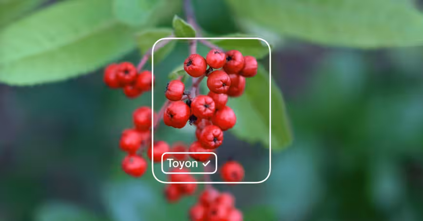 Microsoft unveils FREE app to create AI models without writing any code