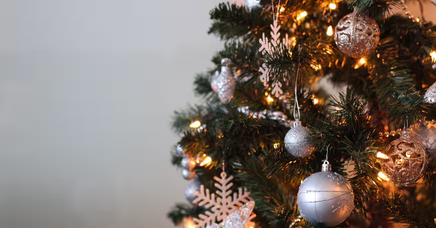 How to check your Christmas tree’s carbon footprint