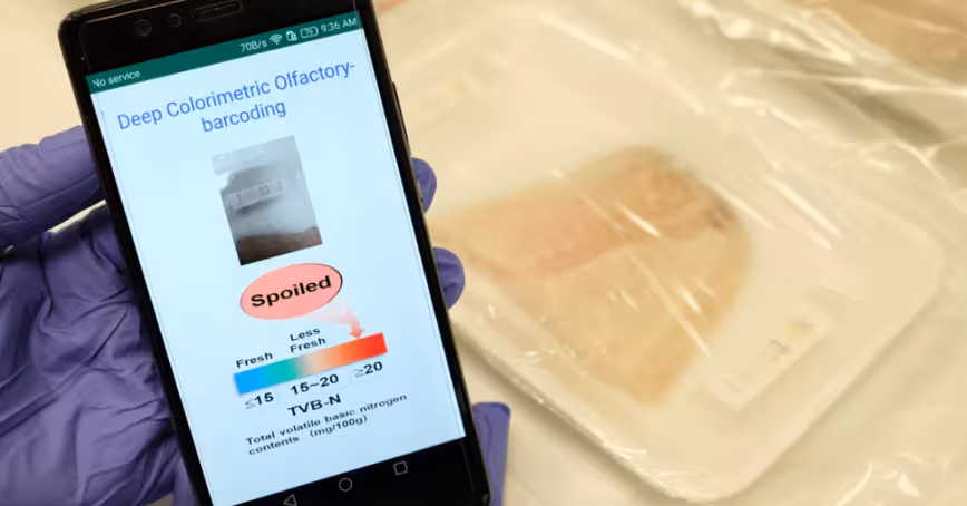 This AI-powered ‘electronic nose’ can sniff out rotten meat